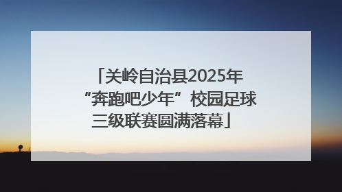 关岭自治县2025年“奔跑吧少年”校园足球三级联赛圆满落幕