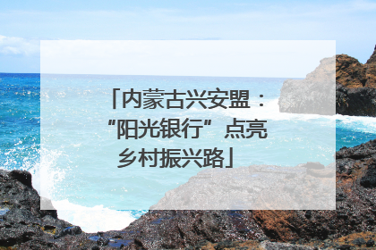 内蒙古兴安盟：“阳光银行”点亮乡村振兴路