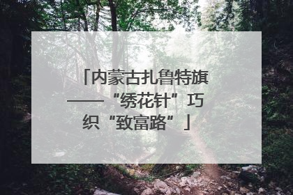 内蒙古扎鲁特旗——“绣花针”巧织“致富路”