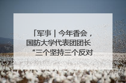 军事｜今年香会，国防大学代表团团长“三个坚持三个反对”说明了什么？