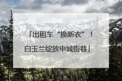 出租车“换新衣”！白玉兰绽放申城街巷