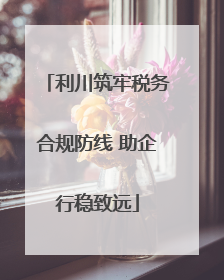 利川筑牢税务合规防线 助企行稳致远