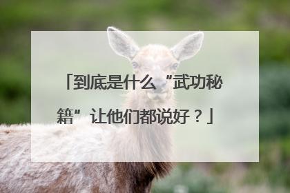 到底是什么“武功秘籍”让他们都说好？