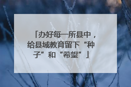办好每一所县中，给县域教育留下“种子”和“希望”