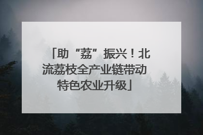 助“荔”振兴！北流荔枝全产业链带动特色农业升级
