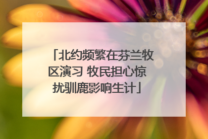 北约频繁在芬兰牧区演习 牧民担心惊扰驯鹿影响生计