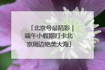 北京号最精彩｜端午小假期打卡北京周边绝美大海