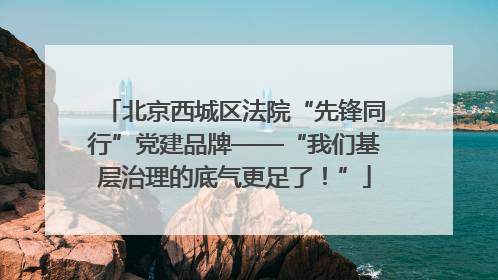 北京西城区法院“先锋同行”党建品牌——“我们基层治理的底气更足了！”