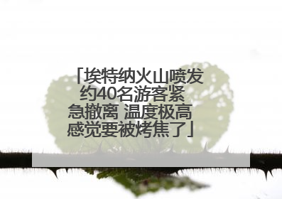 埃特纳火山喷发 约40名游客紧急撤离 温度极高感觉要被烤焦了