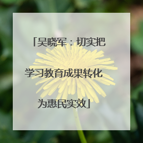 吴晓军：切实把学习教育成果转化为惠民实效
