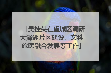 吴桂英在望城区调研大泽湖片区建设、文科旅医融合发展等工作