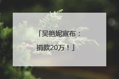 吴艳妮宣布：捐款20万！
