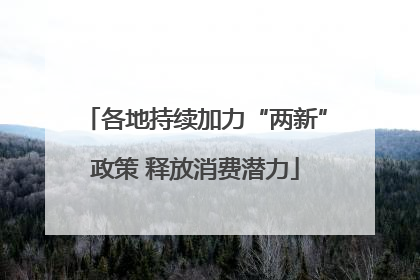 各地持续加力“两新”政策 释放消费潜力