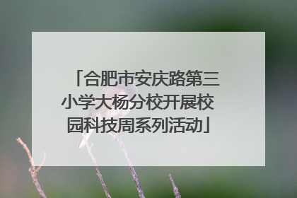 合肥市安庆路第三小学大杨分校开展校园科技周系列活动