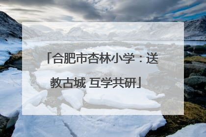 合肥市杏林小学：送教古城 互学共研
