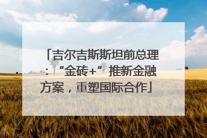 吉尔吉斯斯坦前总理：“金砖+”推新金融方案，重塑国际合作