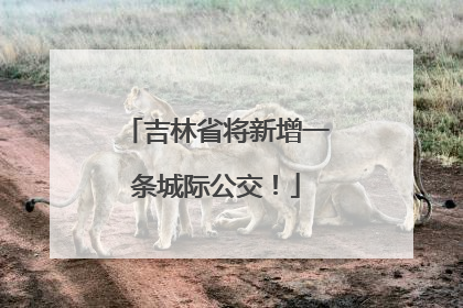 吉林省将新增一条城际公交！