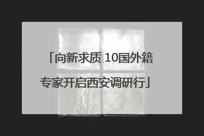 向新求质 10国外籍专家开启西安调研行