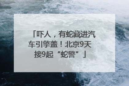 吓人，有蛇藏进汽车引擎盖！北京9天接9起“蛇警”