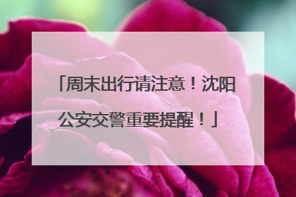 周末出行请注意！沈阳公安交警重要提醒！