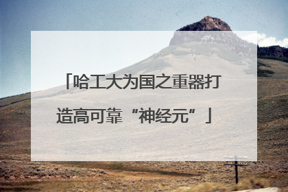 哈工大为国之重器打造高可靠“神经元”