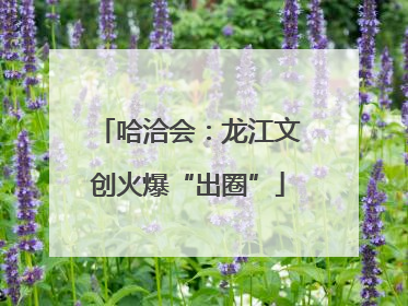 哈洽会：龙江文创火爆“出圈”