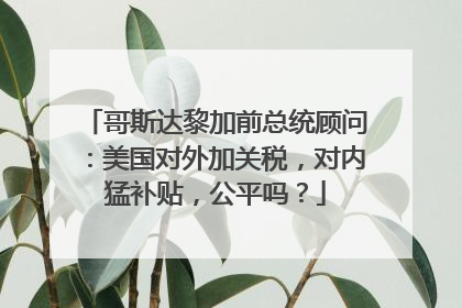 哥斯达黎加前总统顾问：美国对外加关税，对内猛补贴，公平吗？