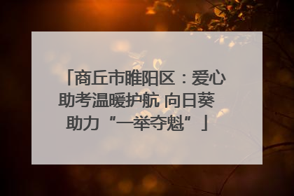 商丘市睢阳区：爱心助考温暖护航 向日葵助力“一举夺魁”