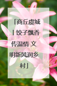 商丘虞城丨饺子飘香传温情 文明新风润乡村
