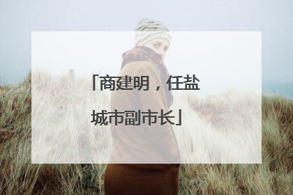 商建明，任盐城市副市长