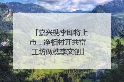 嘉兴槜李即将上市，净相村开共富工坊做槜李文创