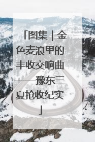 图集｜金色麦浪里的丰收交响曲——豫东三夏抢收纪实