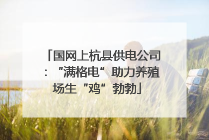 国网上杭县供电公司：“满格电”助力养殖场生“鸡”勃勃