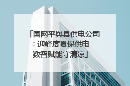 国网平舆县供电公司：迎峰度夏保供电  数智赋能守清凉
