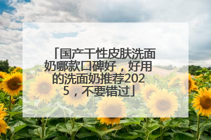 国产干性皮肤洗面奶哪款口碑好，好用的洗面奶推荐2025，不要错过