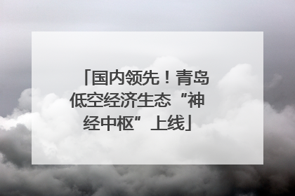 国内领先！青岛低空经济生态“神经中枢”上线