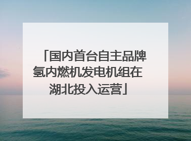 国内首台自主品牌氢内燃机发电机组在湖北投入运营