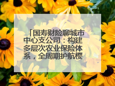 国寿财险聊城市中心支公司：构建多层次农业保险体系，全周期护航樱桃产业发展