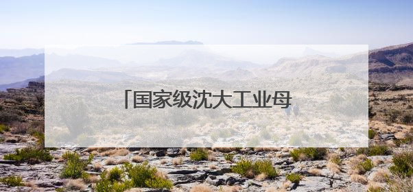 国家级沈大工业母机集群对接会举办