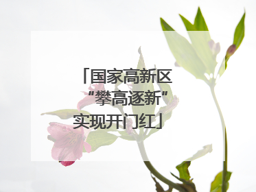 国家高新区“攀高逐新”实现开门红