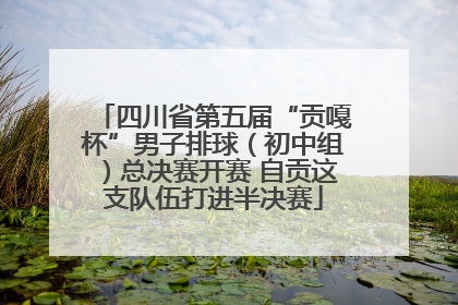 四川省第五届“贡嘎杯”男子排球（初中组）总决赛开赛 自贡这支队伍打进半决赛
