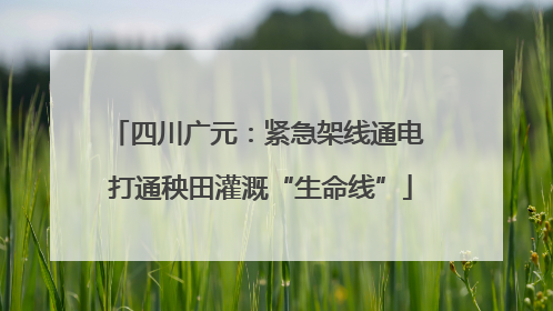 四川广元：紧急架线通电 打通秧田灌溉“生命线”
