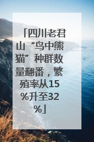 四川老君山“鸟中熊猫”种群数量翻番，繁殖率从15%升至32%