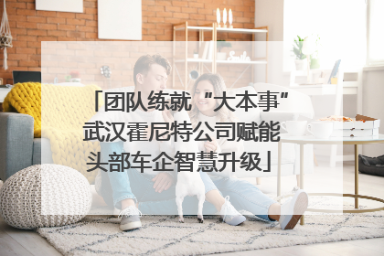 团队练就“大本事” 武汉霍尼特公司赋能头部车企智慧升级
