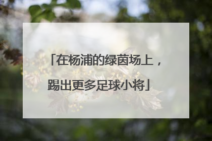 在杨浦的绿茵场上，踢出更多足球小将