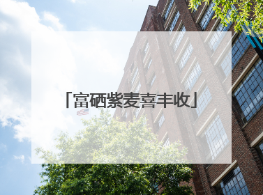 富硒紫麦喜丰收