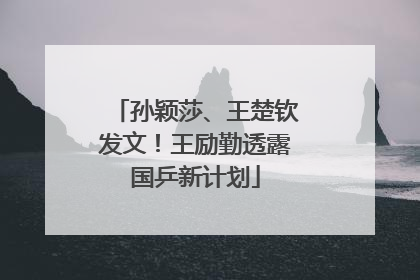 孙颖莎、王楚钦发文！王励勤透露国乒新计划