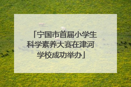 宁国市首届小学生科学素养大赛在津河学校成功举办
