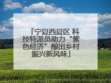 宁夏西夏区 科技特派员助力“紫色经济”酿出乡村振兴新风味