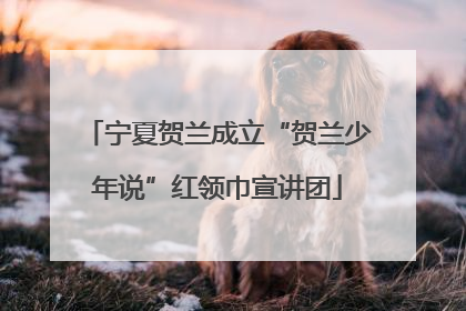 宁夏贺兰成立“贺兰少年说”红领巾宣讲团
